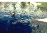 Hierapolis - bathing in the medicinal hot springs